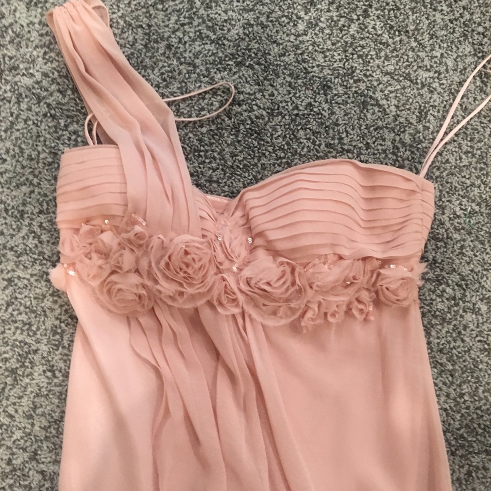 Light Pink Cache Evening Gown Gem